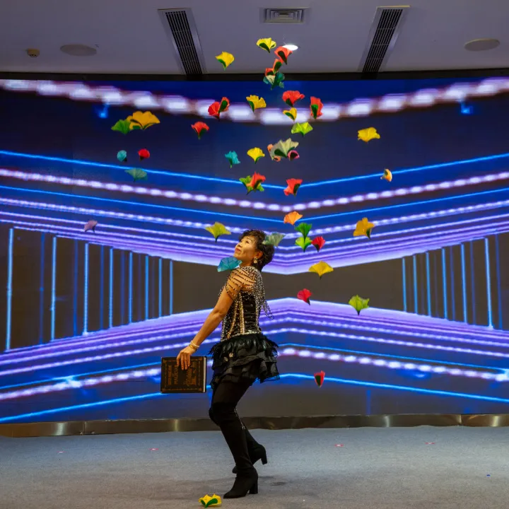 Desempenho do programa