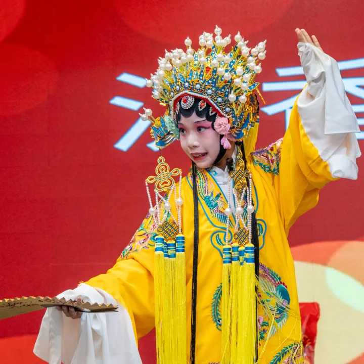 Desempenho do programa