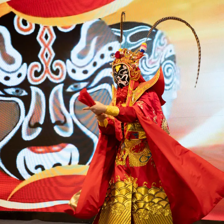 Desempenho do programa